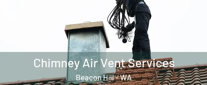 Chimney Air Vent Services Beacon Hill - WA