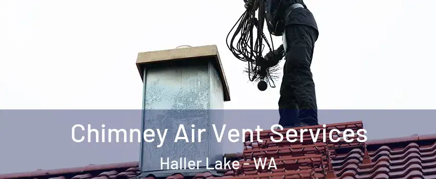 Chimney Air Vent Services Haller Lake - WA