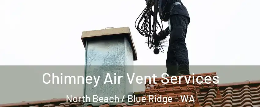 Chimney Air Vent Services North Beach / Blue Ridge - WA