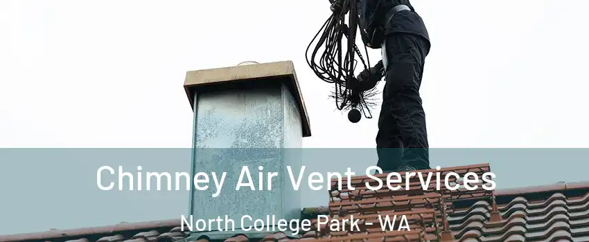 Chimney Air Vent Services North College Park - WA