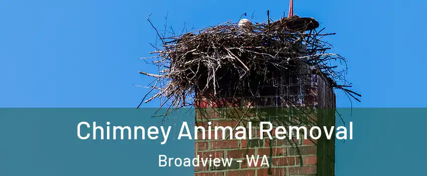 Chimney Animal Removal Broadview - WA