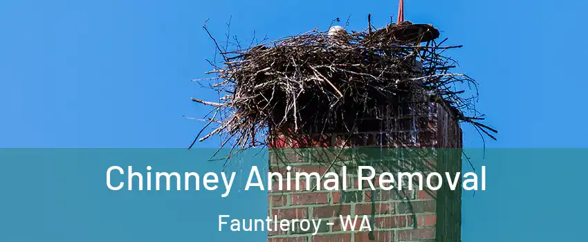 Chimney Animal Removal Fauntleroy - WA