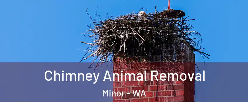 Chimney Animal Removal Minor - WA