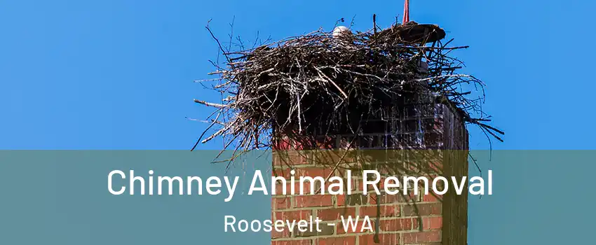 Chimney Animal Removal Roosevelt - WA