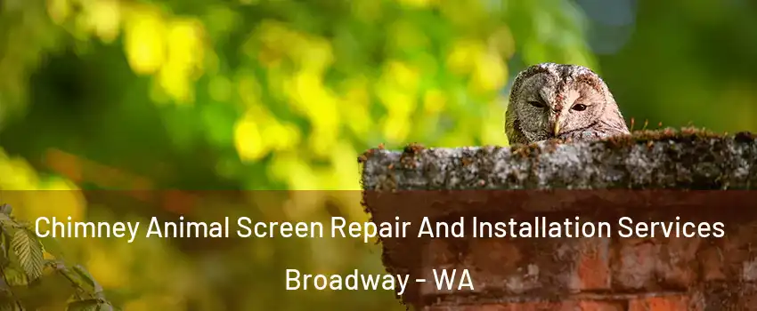 Chimney Animal Screen Repair And Installation Services Broadway - WA