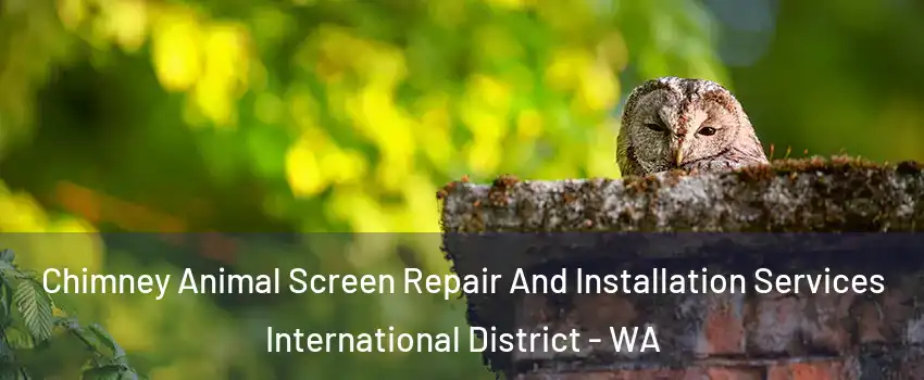 Chimney Animal Screen Repair And Installation Services International District - WA