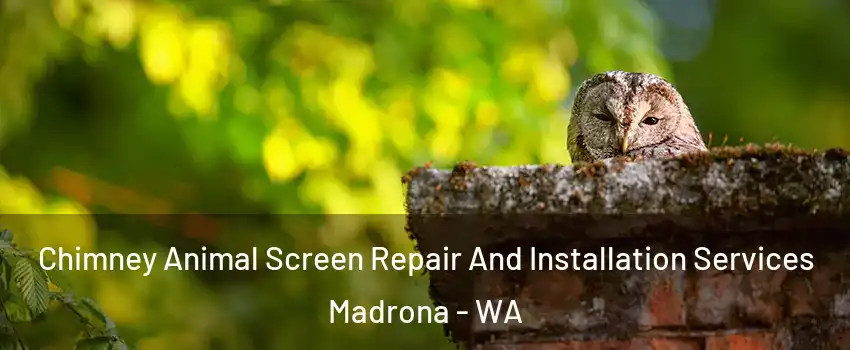 Chimney Animal Screen Repair And Installation Services Madrona - WA