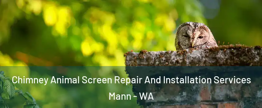 Chimney Animal Screen Repair And Installation Services Mann - WA