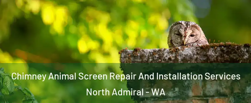 Chimney Animal Screen Repair And Installation Services North Admiral - WA