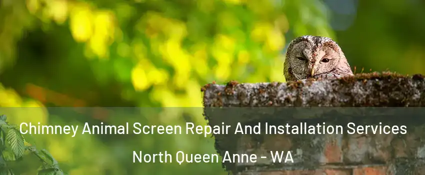 Chimney Animal Screen Repair And Installation Services North Queen Anne - WA