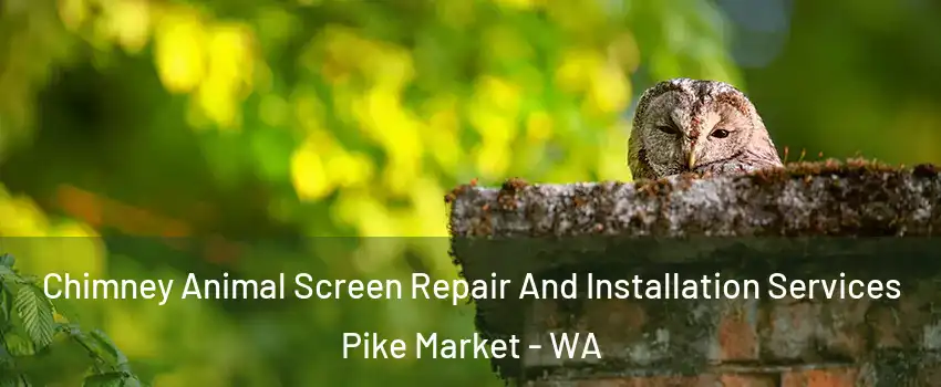 Chimney Animal Screen Repair And Installation Services Pike Market - WA