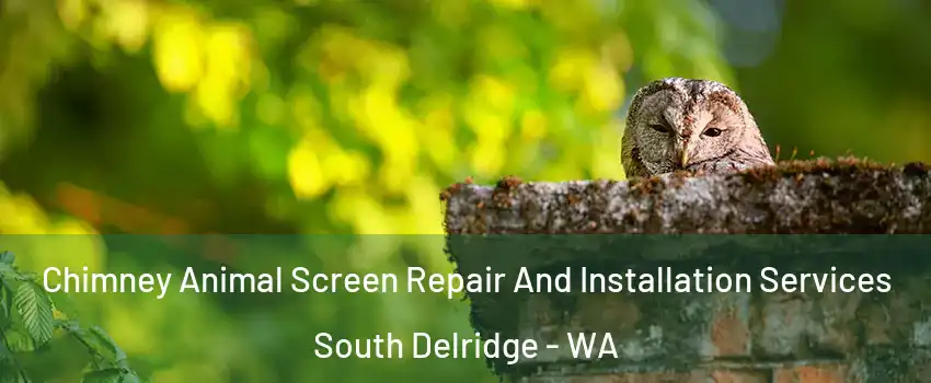 Chimney Animal Screen Repair And Installation Services South Delridge - WA