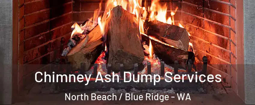 Chimney Ash Dump Services North Beach / Blue Ridge - WA