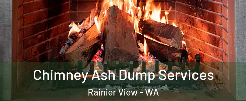 Chimney Ash Dump Services Rainier View - WA