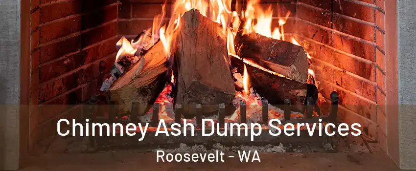 Chimney Ash Dump Services Roosevelt - WA