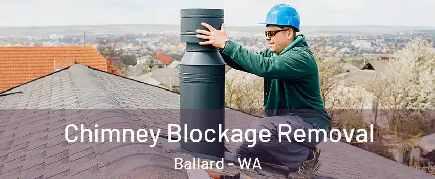 Chimney Blockage Removal Ballard - WA