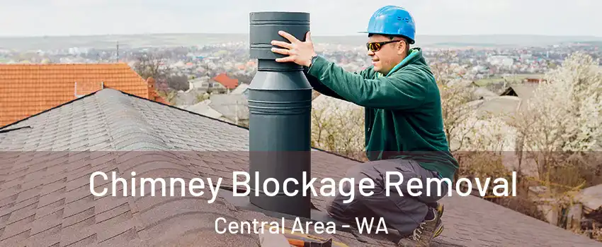 Chimney Blockage Removal Central Area - WA