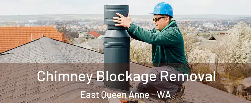 Chimney Blockage Removal East Queen Anne - WA