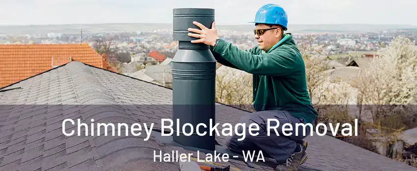 Chimney Blockage Removal Haller Lake - WA