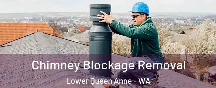 Chimney Blockage Removal Lower Queen Anne - WA