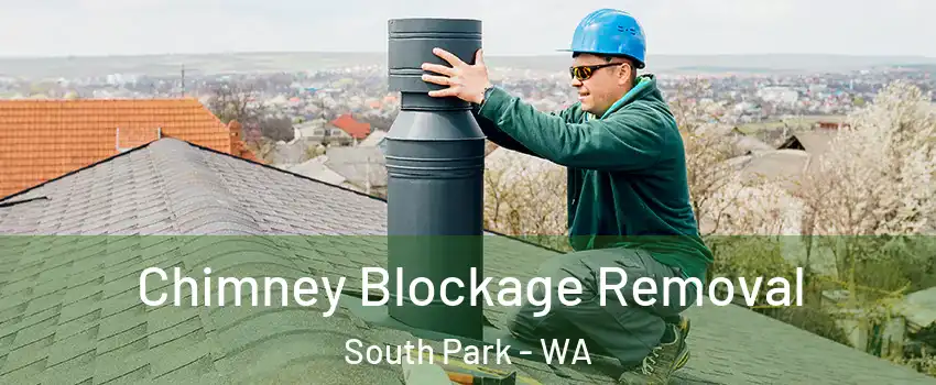 Chimney Blockage Removal South Park - WA