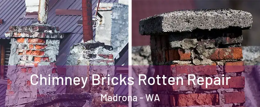 Chimney Bricks Rotten Repair Madrona - WA