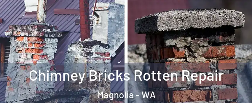 Chimney Bricks Rotten Repair Magnolia - WA