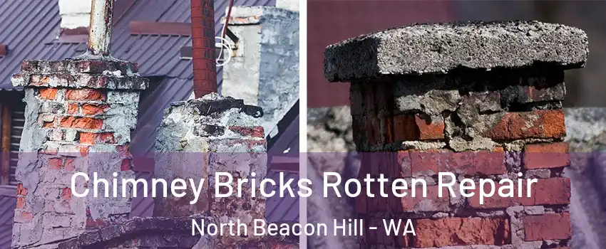 Chimney Bricks Rotten Repair North Beacon Hill - WA