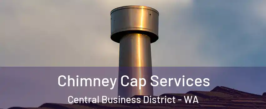 Chimney Cap Services Central Business District - WA