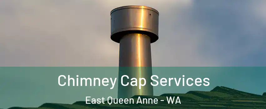 Chimney Cap Services East Queen Anne - WA