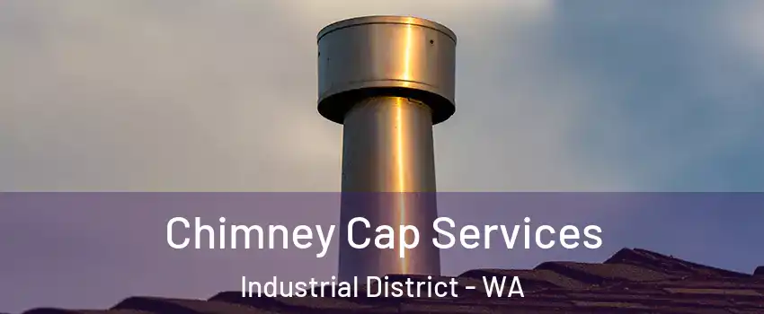 Chimney Cap Services Industrial District - WA