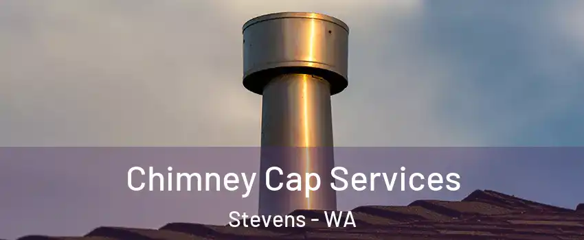 Chimney Cap Services Stevens - WA