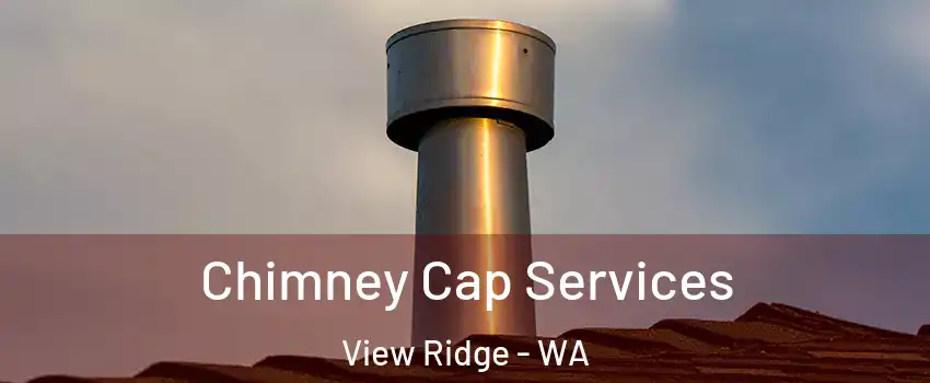 Chimney Cap Services View Ridge - WA