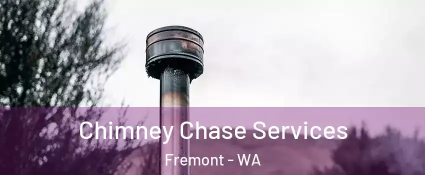 Chimney Chase Services Fremont - WA