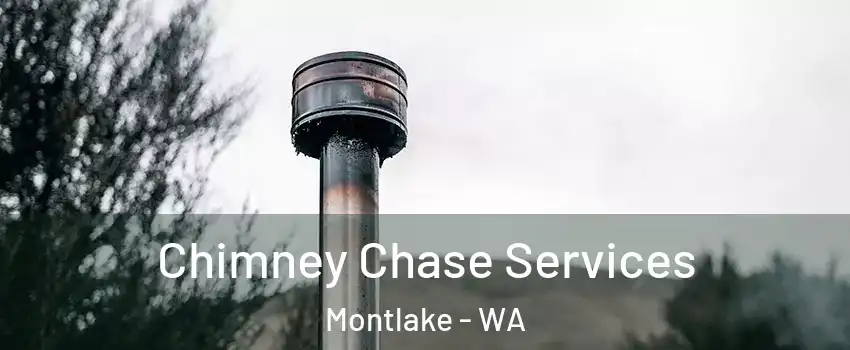 Chimney Chase Services Montlake - WA