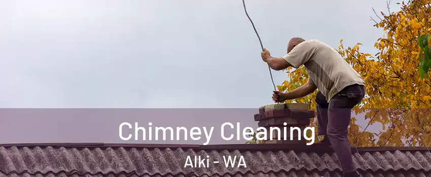 Chimney Cleaning Alki - WA