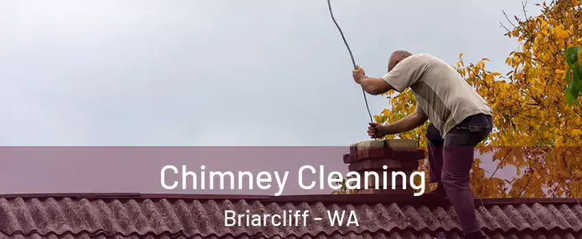 Chimney Cleaning Briarcliff - WA