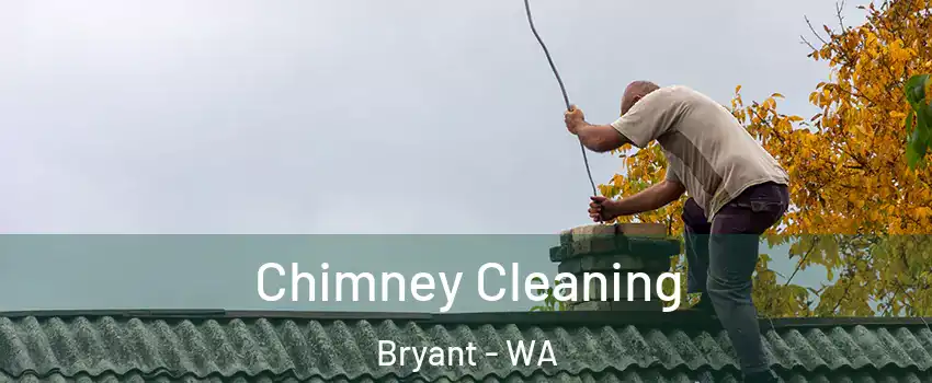 Chimney Cleaning Bryant - WA