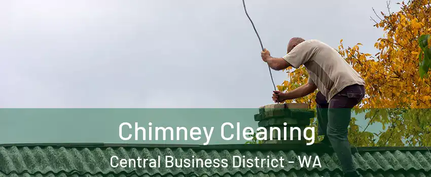 Chimney Cleaning Central Business District - WA