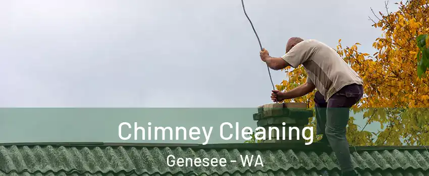 Chimney Cleaning Genesee - WA