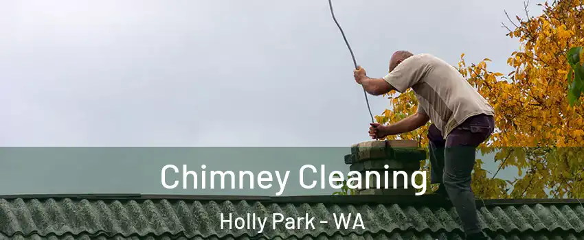 Chimney Cleaning Holly Park - WA