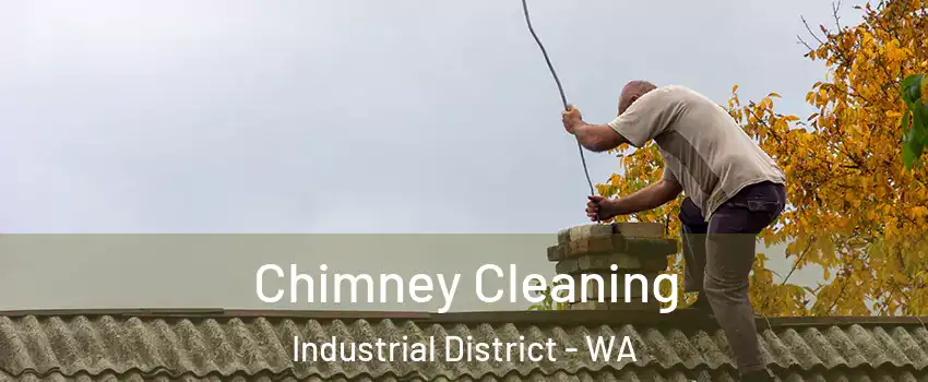 Chimney Cleaning Industrial District - WA