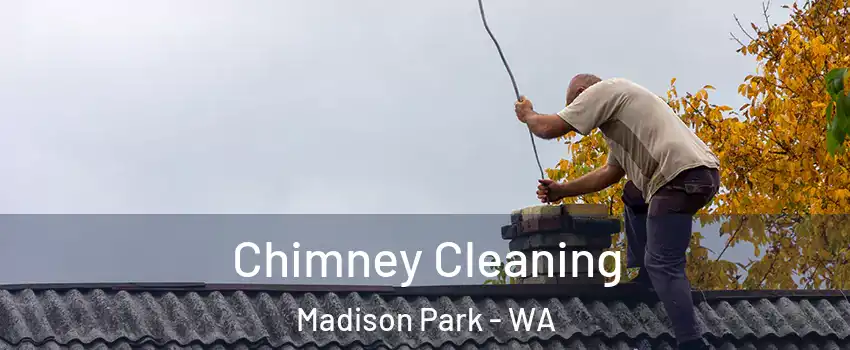 Chimney Cleaning Madison Park - WA