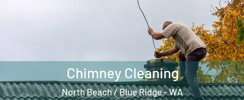 Chimney Cleaning North Beach / Blue Ridge - WA