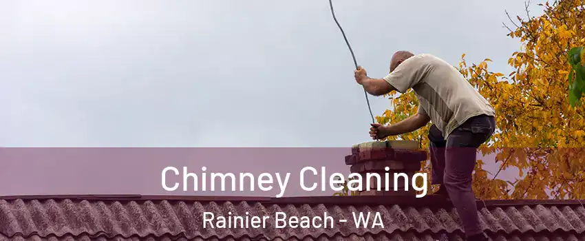 Chimney Cleaning Rainier Beach - WA