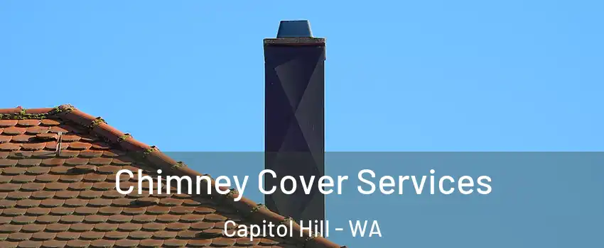 Chimney Cover Services Capitol Hill - WA