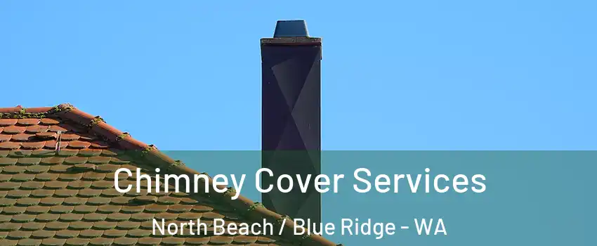 Chimney Cover Services North Beach / Blue Ridge - WA