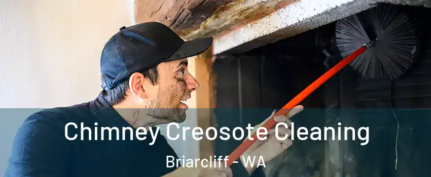 Chimney Creosote Cleaning Briarcliff - WA