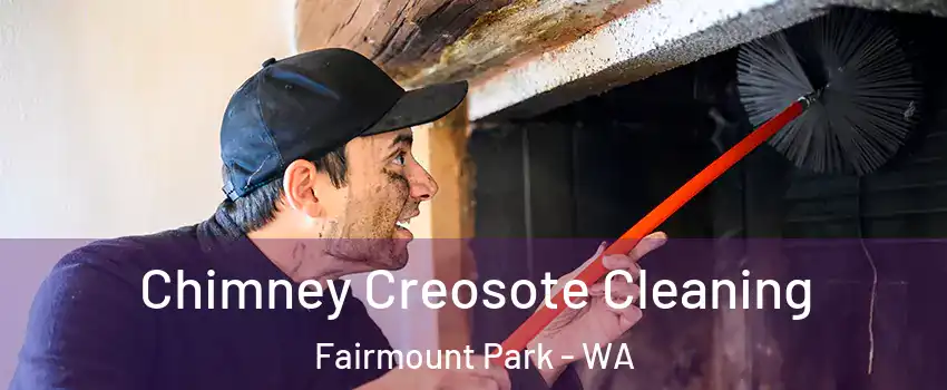 Chimney Creosote Cleaning Fairmount Park - WA