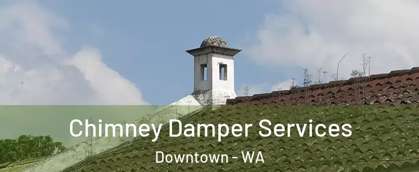 Chimney Damper Services Downtown - WA